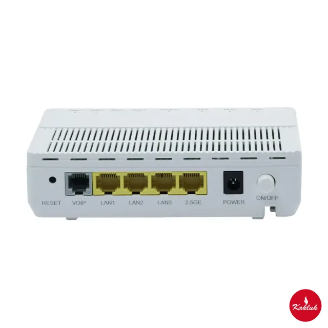 1× 2.5G + 3× GE + VoIP