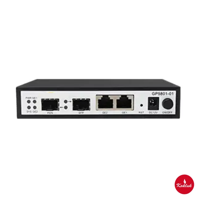 1 PON port, mini OLT