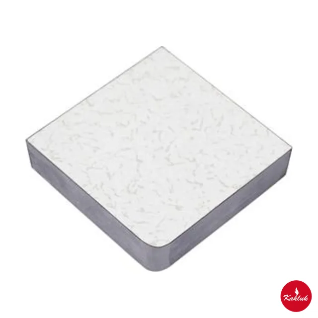 Antistatik yükseltilmiş döşeme 600 × 600 mm